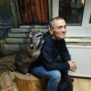  -,   , 56 ,   ,   , c 
