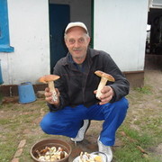 ���������� �������, ���� ������� �������, 61 ���, ������������ 