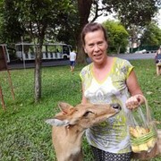  ,   , 58 ,   ,   , c 
