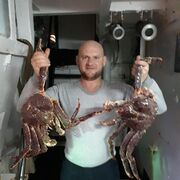 ���������� ���������, ���� ������� Dmitrii, 49 ���, ������������ ��� ������, ����� � ���������