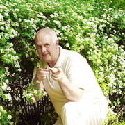  ,   , 61 ,  