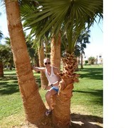 ���������� ������������, ���� ������� ������, 38 ���, ������������ ��� ������