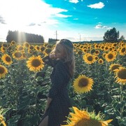  ,  , 29