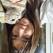  ,   , 19 ,     , c 