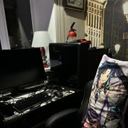 ���������� �������, ���� ����� ����, 22 ����, ������������ ��� ����� � ���������