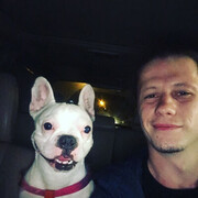 ���������� �����������, ���� ������� ���������, 32 ����, ������������ ��� ������, ����� � ���������, c�������� ���������