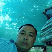 ���������� �������, ���� ������� ��������, 43 ����, ������������ ��� ������, ����� � ���������, c�������� ���������