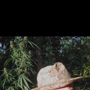 ���������� �����������, ������� �������, 37