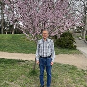 ���������� �����������, ���� ������� ���������, 60 ���, ������������ ��� c�������� ���������