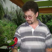 ���������� ���������, ���� ������� ���������, 55 ���, ������������ ��� ������