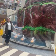 ���������� ������������, ���� ������� ����, 41 ���, ������������ ��� ������, ����� � ���������