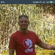  ,   Tolyan, 46 ,   ,   , c 