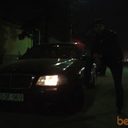  ,  turan, 40