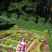 ���������� ������, ���� ������� �������, 37 ���, ������������ ��� ����� � ���������, c�������� ���������