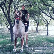  ,   Zurik, 32 ,   ,   