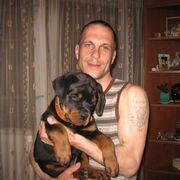  ,   , 49 ,   c , 