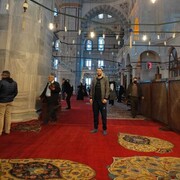 ���������� ��������, ���� ������� ������, 36 ���, ������������ ��� ������, ����� � ���������