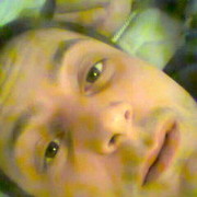 ���������� ����, ���� ������� ����, 40 ���, ������������ ��� ������, ����� � ���������, c�������� ���������