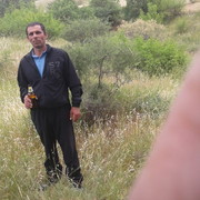 ���������� �������, ���� ������� �������, 51 ���, ������������ ��� ������, ����� � ���������, c�������� ���������