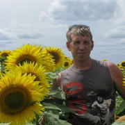  ,   , 55 ,   