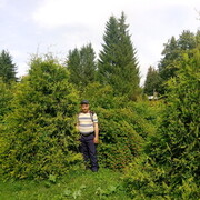  ,   , 41 ,   , 