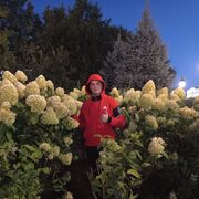  ,   , 32 ,   ,   