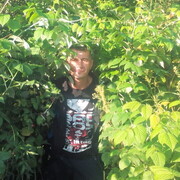  -,   , 43 ,   ,   , c 