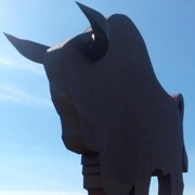 ���������� �����, ���� ������� ������, 43 ����, ������������ ��� ������