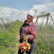  ,   , 46 ,   c , 