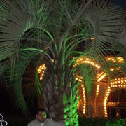  ,   , 40 ,     , c 