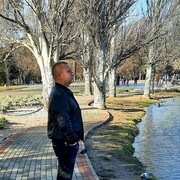  ,   , 38 ,   ,   