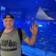 ���������� �����, ���� ������� �������, 44 ����, ������������ ��� ������, ����� � ���������, c�������� ���������, ���������