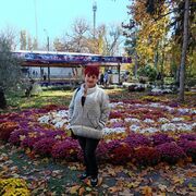 ���������� �����������, ���� ������� �����, 57 ���, ������������ ��� c�������� ���������