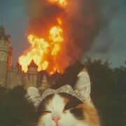 ���������� �������, ����