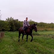  ,   , 31 ,  