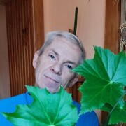  ,   , 55 ,     , c 