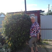 ���������� ����������, ���� ������� ��������, 60 ���, ������������ ��� c�������� ���������