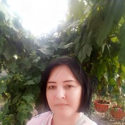   ,   , 43 ,     , c 
