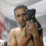  ,    , 38 ,   ,   
