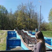 ���������� ���������, ���� ������� ���������, 21 ���, ������������ ��� ������, ����� � ���������