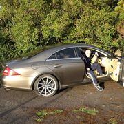  ,   Aleksandr, 42 ,   ,   