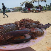 ���������� ������, ���� ������� D m i t r y, 42 ����, ������������ ��� ������