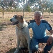 ���������� ��������, ������� ��������, 73