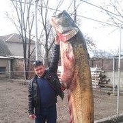 ���������� �������, ���� ������� ����, 45 ���, ������������ ��� ������, ����� � ���������, c�������� ���������