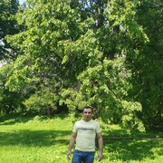  ,   , 48 ,  