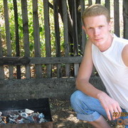  ,   Doberman, 43 ,   