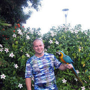 ���������� ������, ���� ������� ���������, 43 ����, ������������ ��� ������, ����� � ���������, c�������� ���������