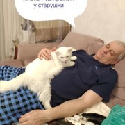  -,   , 51 ,     