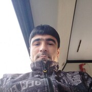   ,   , 33 ,     