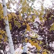  --,   , 48 ,   ,   , c 